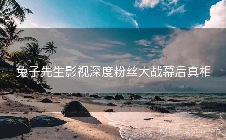 兔子先生影视深度粉丝大战幕后真相