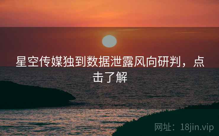 星空传媒独到数据泄露风向研判，点击了解