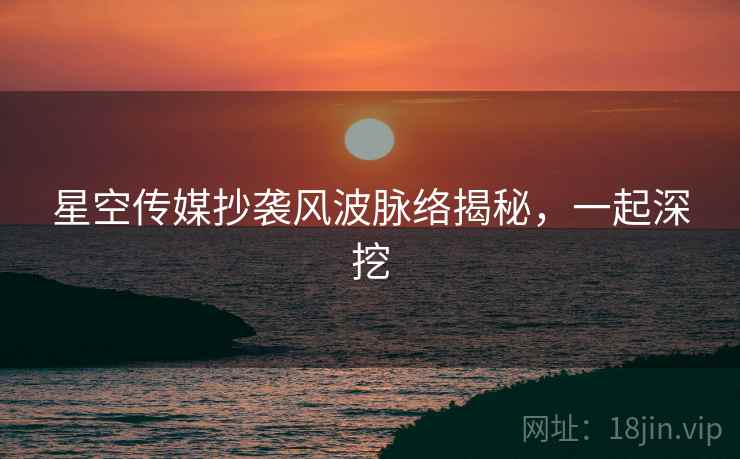 星空传媒抄袭风波脉络揭秘，一起深挖