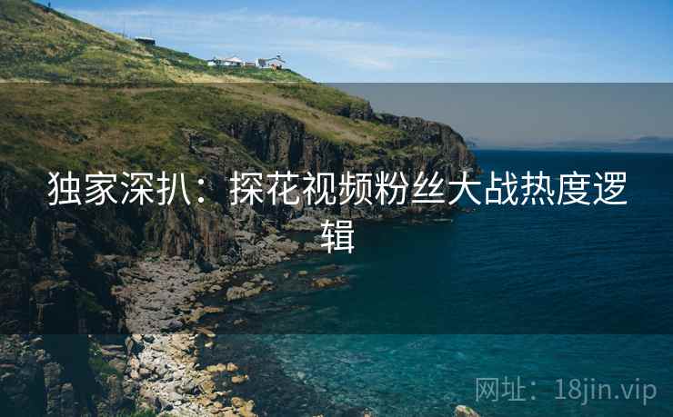 独家深扒：探花视频粉丝大战热度逻辑
