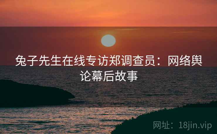 兔子先生在线专访郑调查员：网络舆论幕后故事