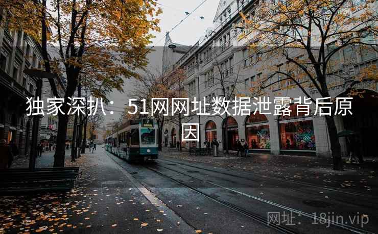 独家深扒：51网网址数据泄露背后原因