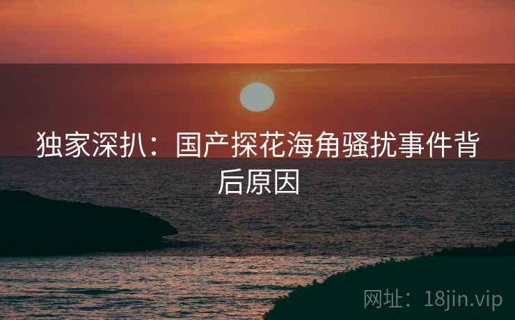 独家深扒：国产探花海角骚扰事件背后原因