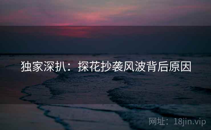 独家深扒：探花抄袭风波背后原因
