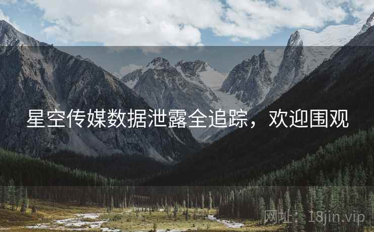 星空传媒数据泄露全追踪，欢迎围观