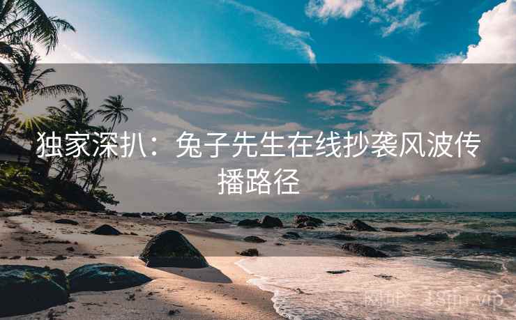 独家深扒：兔子先生在线抄袭风波传播路径