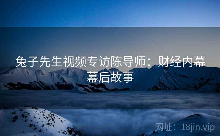 兔子先生视频专访陈导师：财经内幕幕后故事