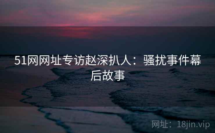 51网网址专访赵深扒人：骚扰事件幕后故事