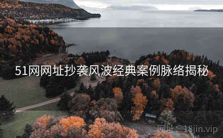 51网网址抄袭风波经典案例脉络揭秘