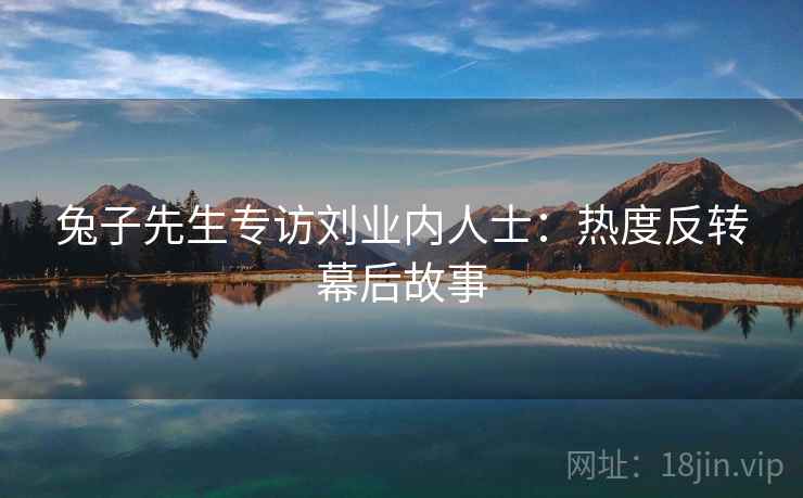 兔子先生专访刘业内人士：热度反转幕后故事