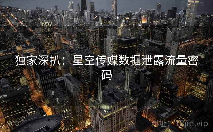 独家深扒:星空传媒数据泄露流量密码
