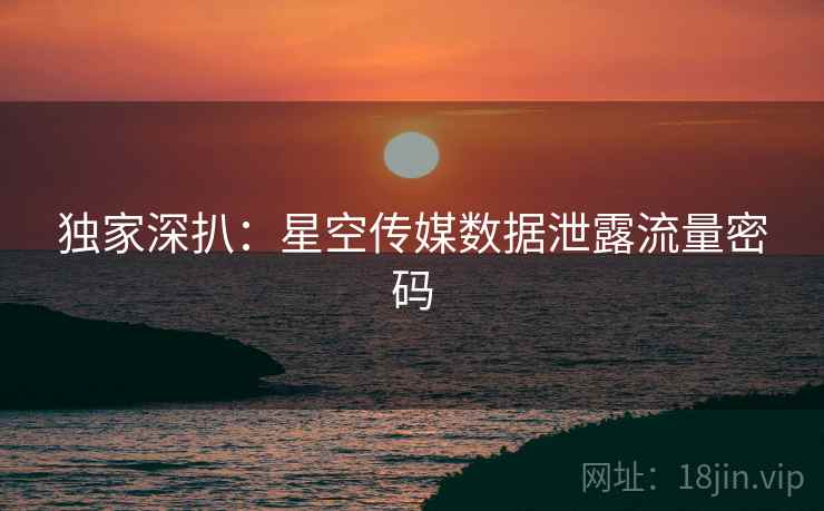 独家深扒：星空传媒数据泄露流量密码