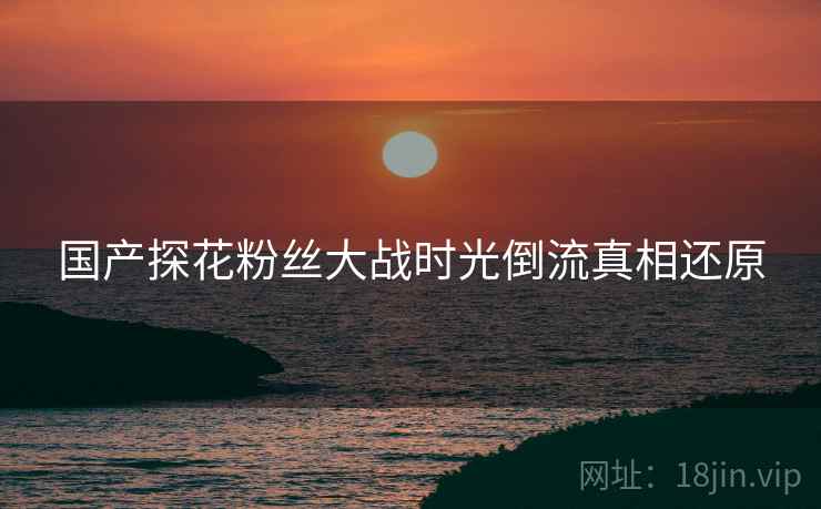 国产探花粉丝大战时光倒流真相还原